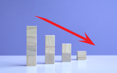 A Decline in the Number of Countries with a  National Business Excellence Award